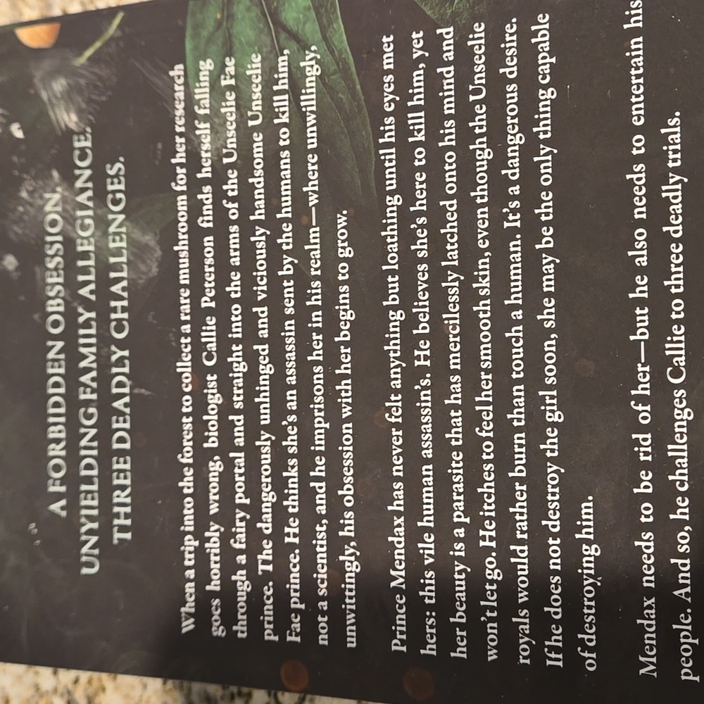 How Does it Feel Paperback - Infatuated Fae #1 - Picture 3 of 6